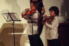Violinisiti